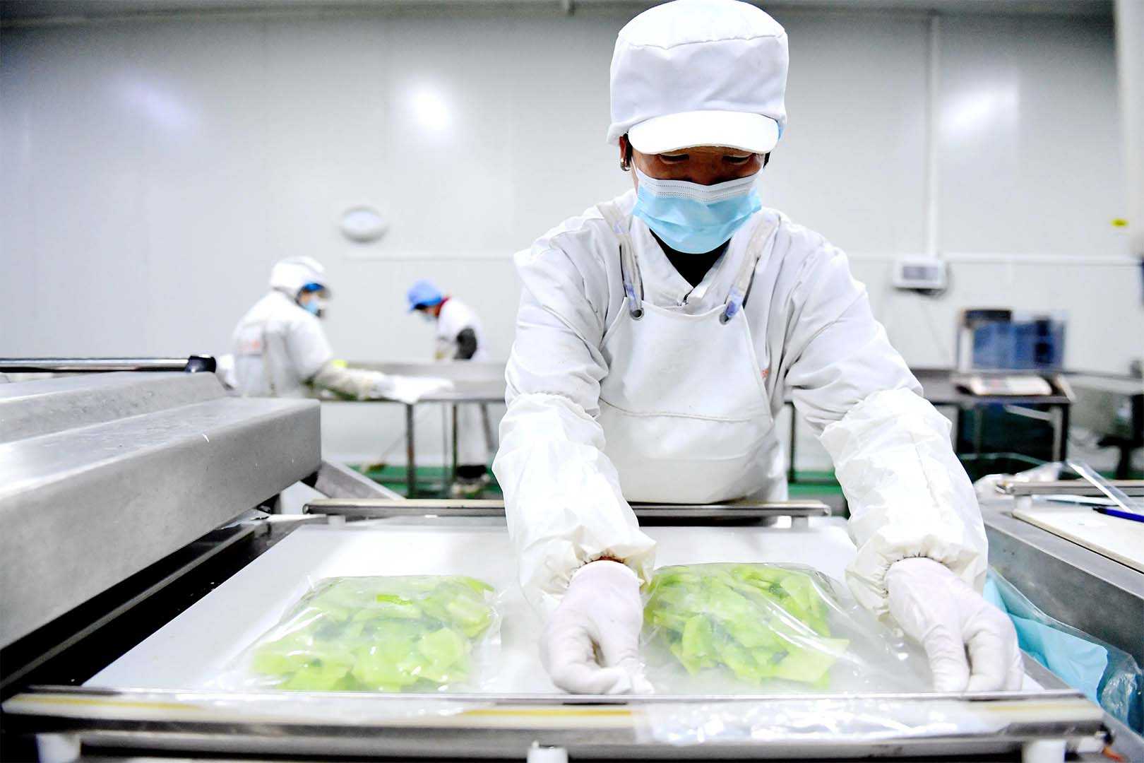 鎖鮮新科技：火鍋食材與凈菜保鮮包裝機，引領食品加工潮流