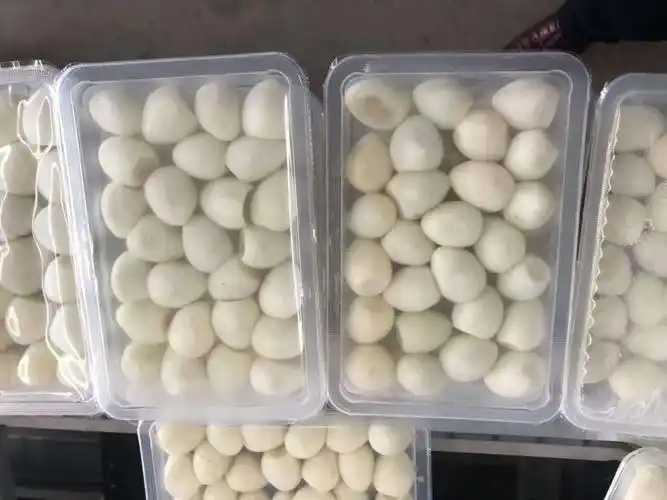 整線解決方案，優化生產流程：鵪鶉蛋包裝神器來襲